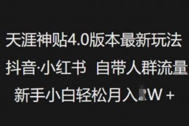 最新项目天涯神贴4.0版本最新玩法，抖音·小红书自带人群流量，新手小白轻松月入过W02-21冒泡网