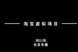 每日淘宝虚拟项目，从理论到实操，新手也能快速上手02-24冒泡网