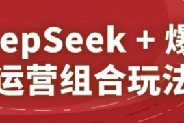DeepSeek+爆品运营组合玩法，2025淘系精品课