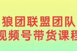 最新项目狼团联盟2024视频号带货，0基础小白快速入局视频号12-29冒泡网