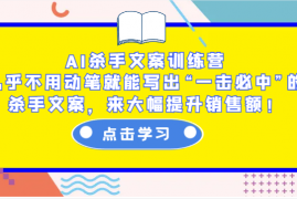 简单项目AI杀手文案训练营：几乎不用动笔就能写出“一击必中”的杀手文案，来大幅提升销售额！12-25福缘网