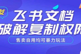 手机创业首发飞书文档破解复制权限，售卖自用均可暴力玩法02-20冒泡网