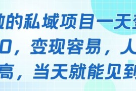 好做的私域项目一天变现1k+，变现容易，人群占比高，当天就能见到钱