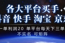 抖音买手项目，一单利润20左右，单号每天下三单，可矩阵，稳定适合长期副业【揭秘】