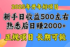 每天（14076期）2025开年好项目，单号日收益2000左右02-04中创网