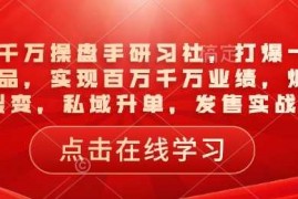 创业项目一品千万操盘手研习社，打爆一个引流品，实现百万千万业绩，爆品裂变，私域升单，发售实战02-07冒泡网