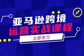 赚钱项目（14188期）亚马逊跨境运营实战课程：涵盖亚马逊运营、申诉、选品等多个方面02-15中创网