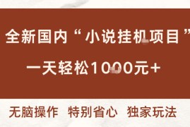 全新国内小说挂G项目，多窗口无脑跑，一天轻松1k+，特别省心【揭秘】