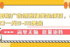 每日（13929期）俄罗斯广告浏览撸美金项目，单窗口一天5-15美金01-07中创网