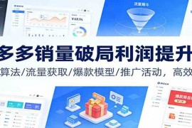 拼多多销量破局利润提升课：权重算法/流量获取/爆款模型/推广活动，高效盈利