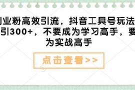 每日创业粉高效引流，抖音工具号玩法，日引300+，不要成为学习高手，要成为实战高手02-04冒泡网