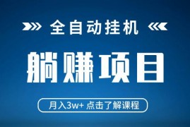 手机项目（14551期）全自动挂机项目月入3w+真正躺平项目不吃电脑配置当天见收益03-16中创网