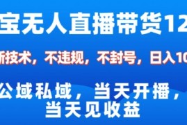 淘宝无人直播12.0，公域私域技术，不封号，不违规布局双十一流量风口，日入1k（独家技术）【揭秘】