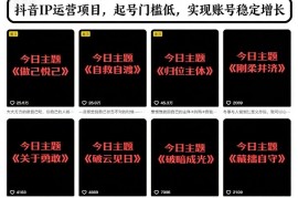 抖音IP运营项目，抖音今日主题玩法，起号门槛低，实现账号稳定增长