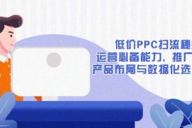 手机项目（13879期）低价PPC扫流秘籍：运营必备能力,推广基础,产品布局与数据化选款详解01-21中创网