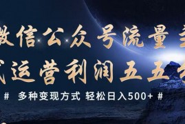 最新项目公众号流量主代运营多种变现方式轻松日入500+02-24福缘网