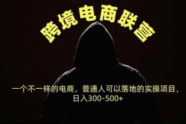 （20702期）跨境电商联营，一个不一样的电商，普通人可操作日入300-500+