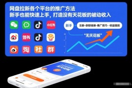 网盘拉新各个平台的推广方法，新手也能快速上手，打造没有天花板的被动收入