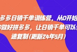 拼多多日销千单训练营，从0开始带你做好拼多多，让日销千单可以快速复制(更新25年5月)